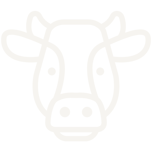 68c55797a35bb17fef896995 kuh