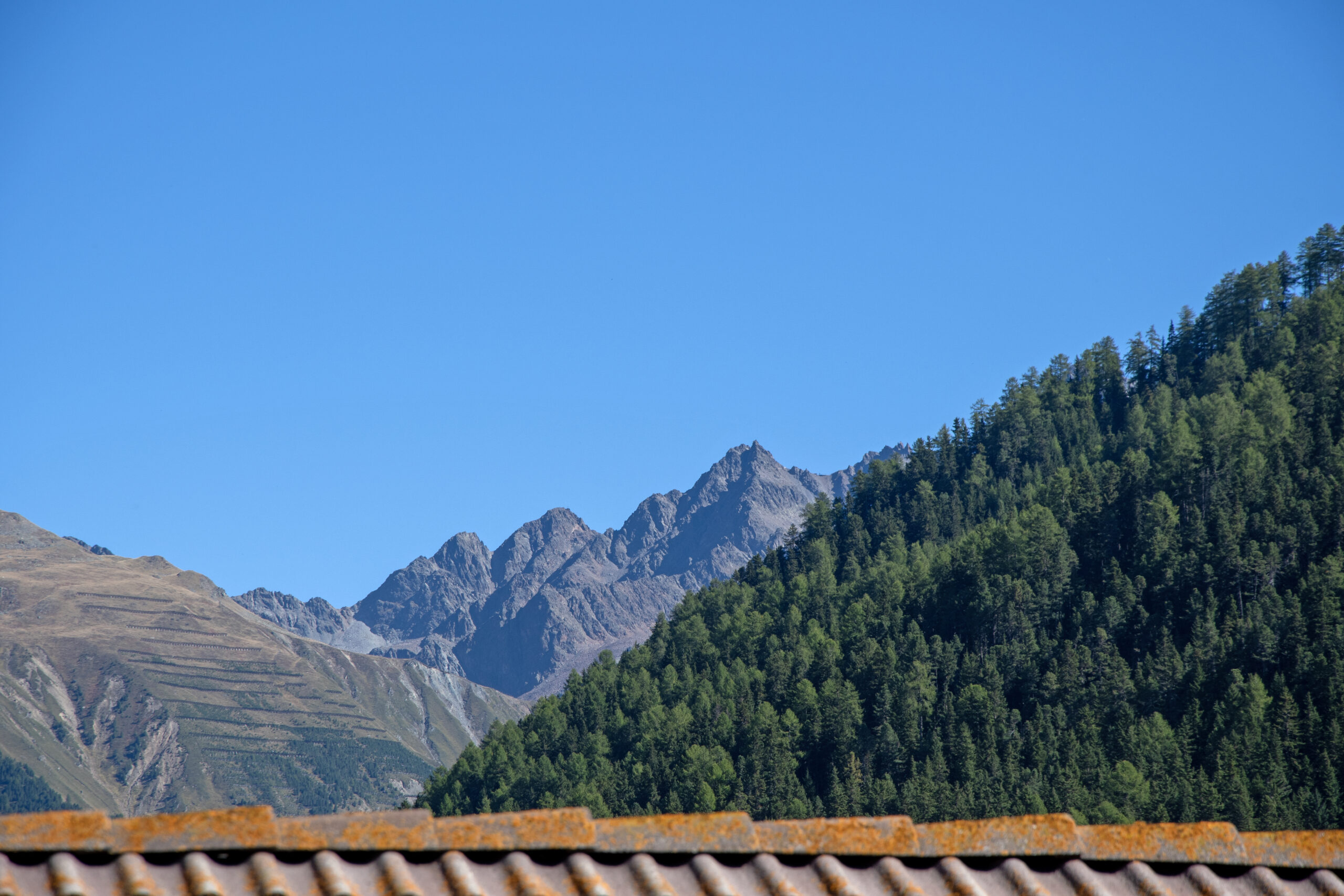 Wiartshof Urlaub auf dem Bauernof Langtaufers Ferienwohnung Heustadl Ausblick Taleinwärts