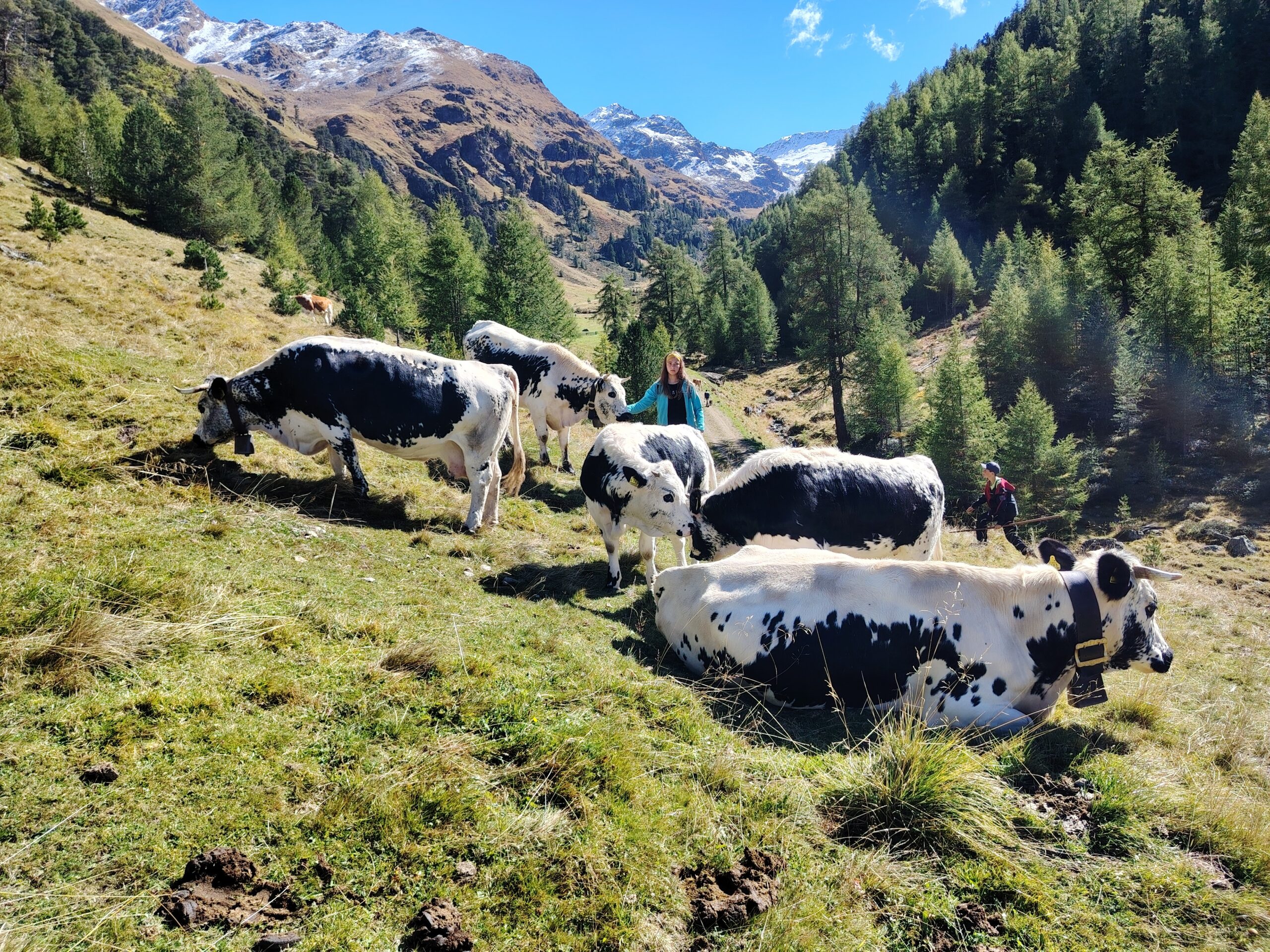 Wiartshof Urlaub auf dem Bauernof Langtaufers Ferienwohnung Pustertaler Sprinzen Alm