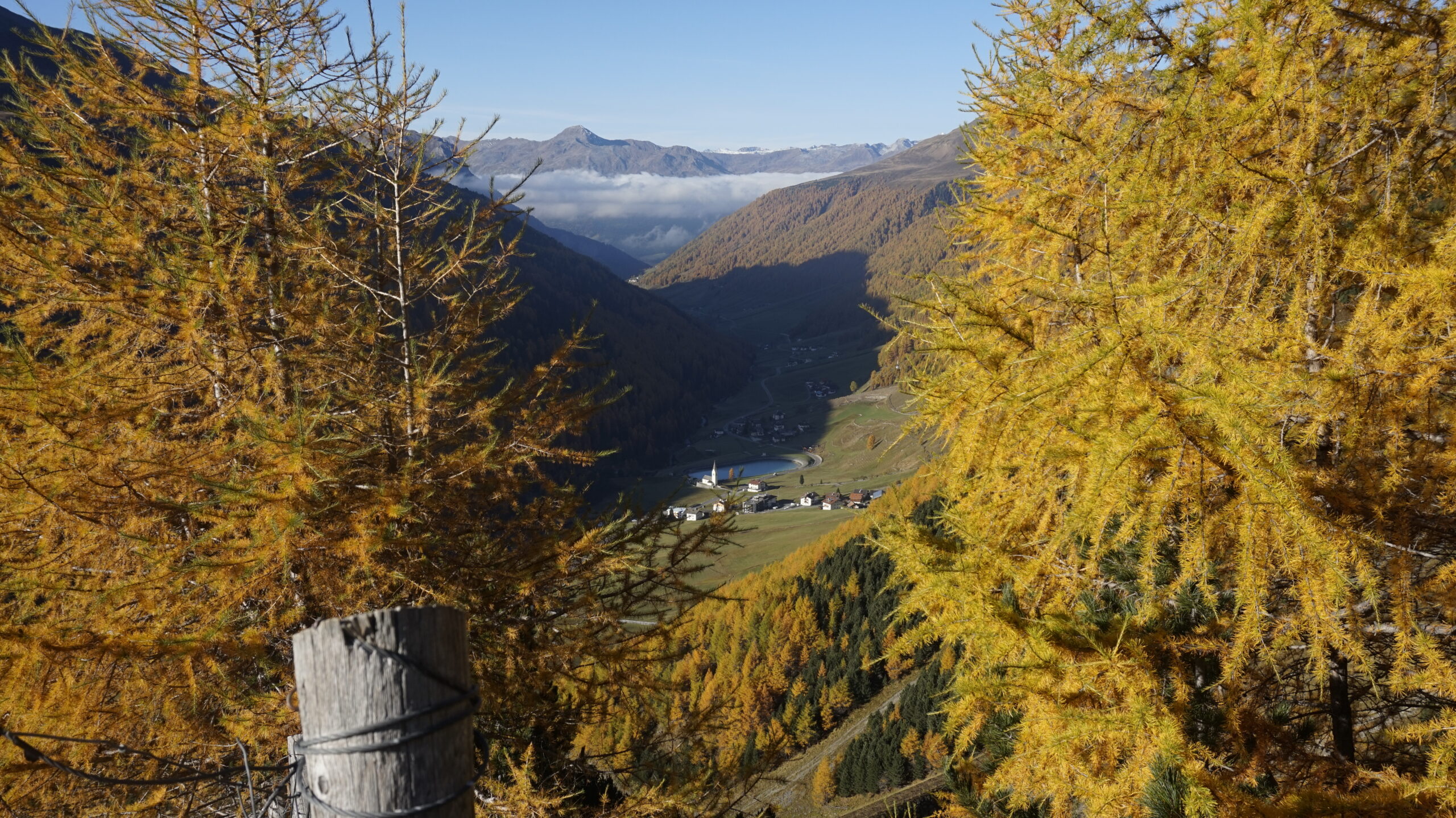 Wiartshof Urlaub auf dem Bauernof Langtaufers Ferienwohnungen Goldener Herbst in Langtaufers